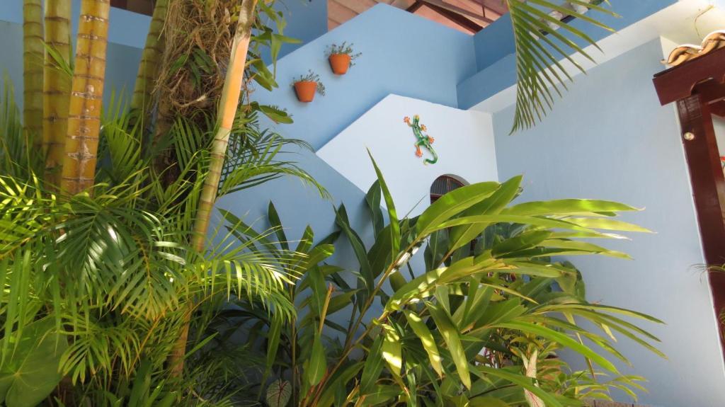 Pousada Raios De Luar Boicucanga Bagian luar foto